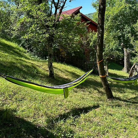 Casa Lupilor Transfagarasan Villa Căpăţîneni-Ungureni Kültér fotó