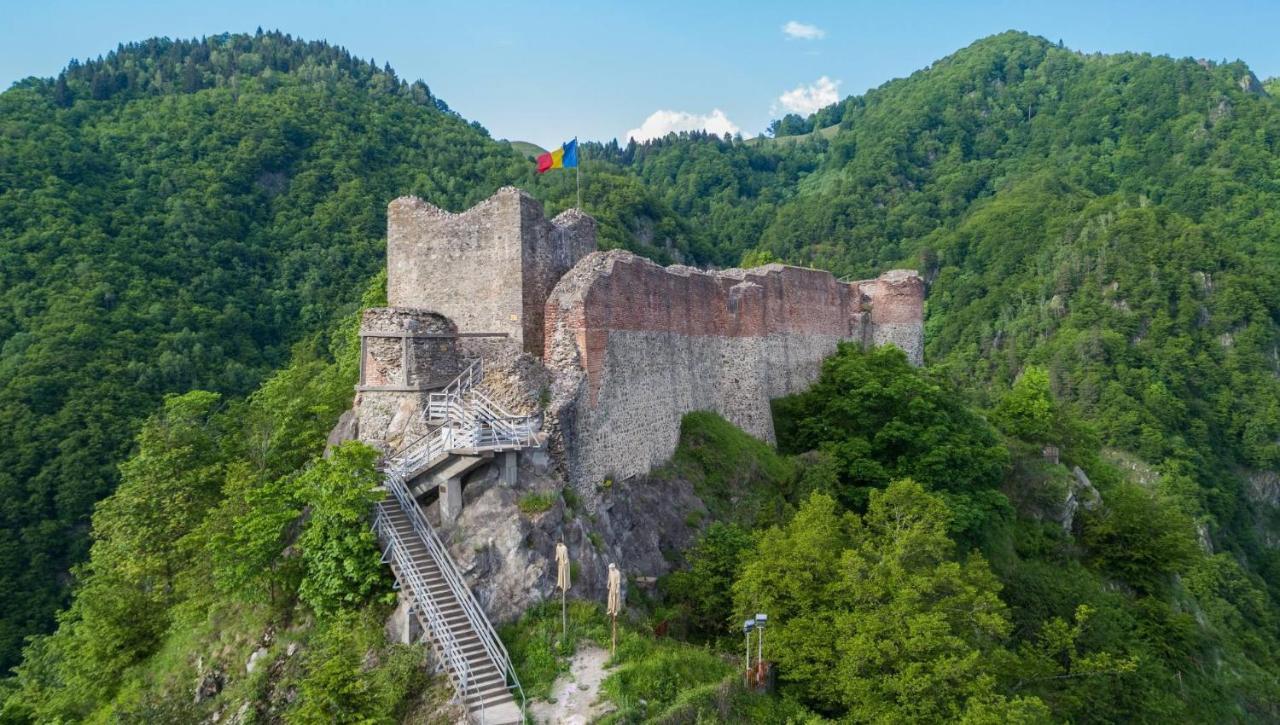 Casa Lupilor Transfagarasan Villa Căpăţîneni-Ungureni Kültér fotó