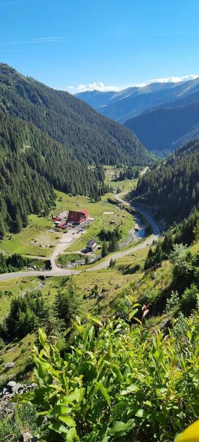 Casa Lupilor Transfagarasan Villa Căpăţîneni-Ungureni Kültér fotó