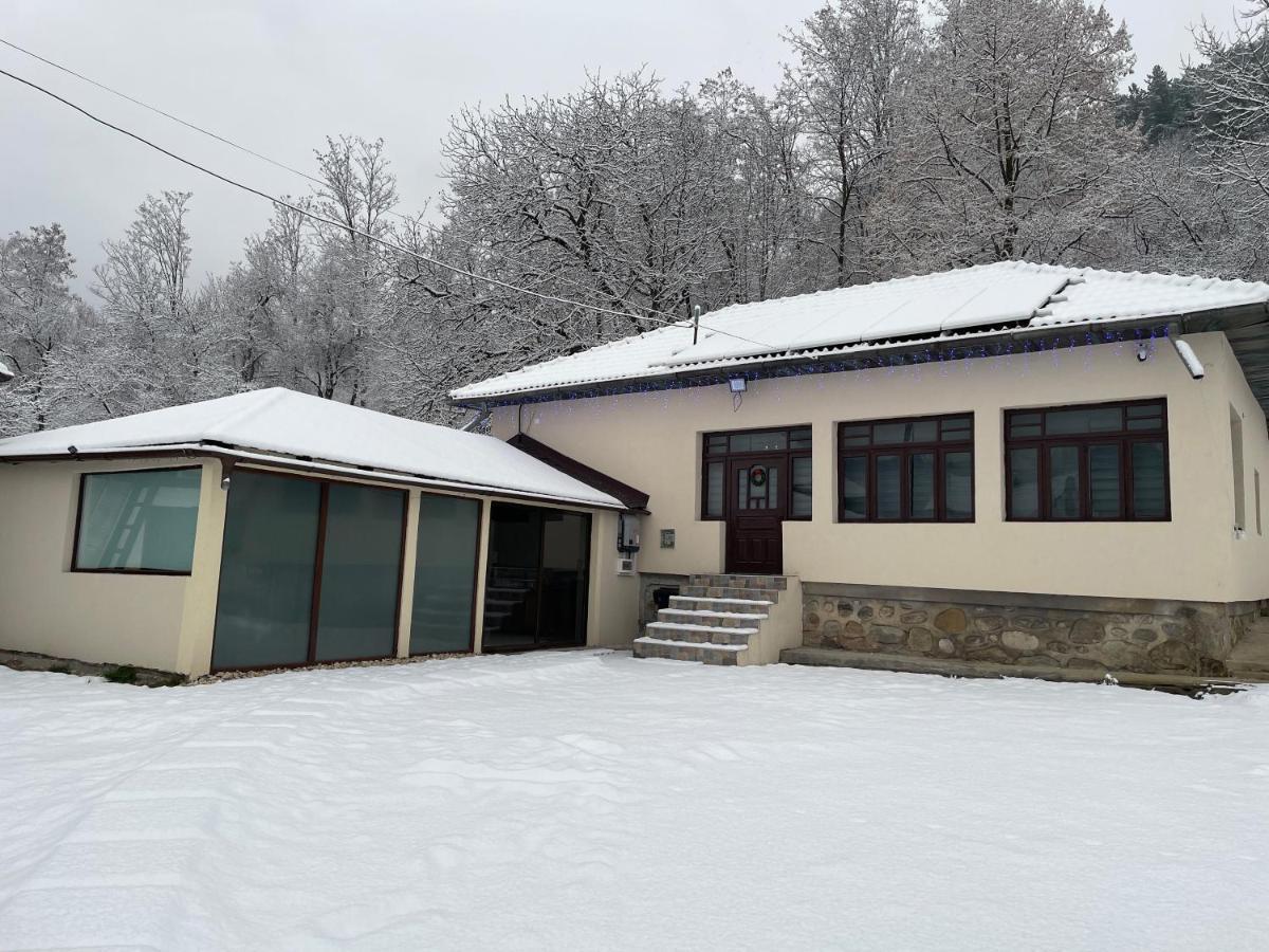 Casa Lupilor Transfagarasan Villa Căpăţîneni-Ungureni Kültér fotó