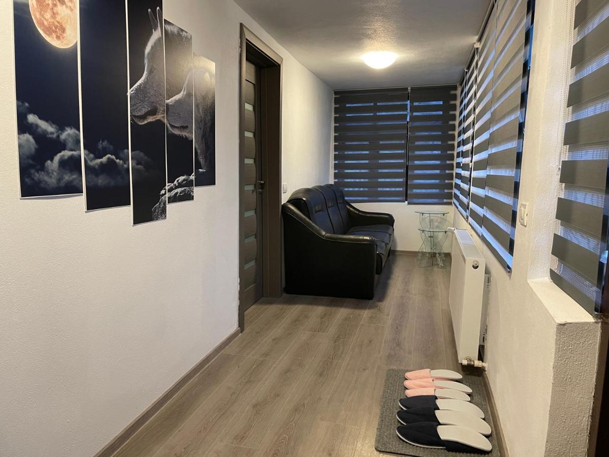 Casa Lupilor Transfagarasan Villa Căpăţîneni-Ungureni Kültér fotó