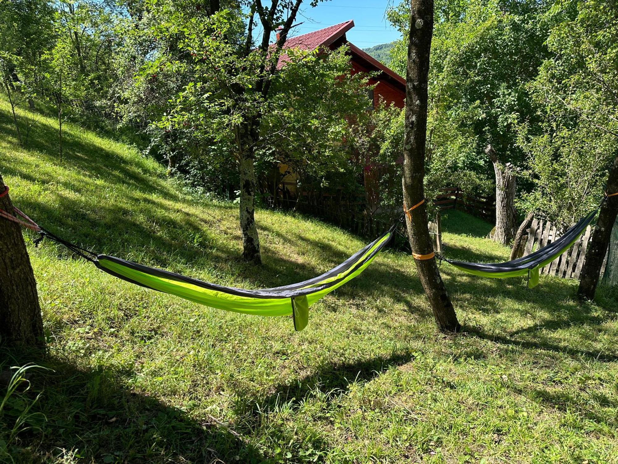 Casa Lupilor Transfagarasan Villa Căpăţîneni-Ungureni Kültér fotó