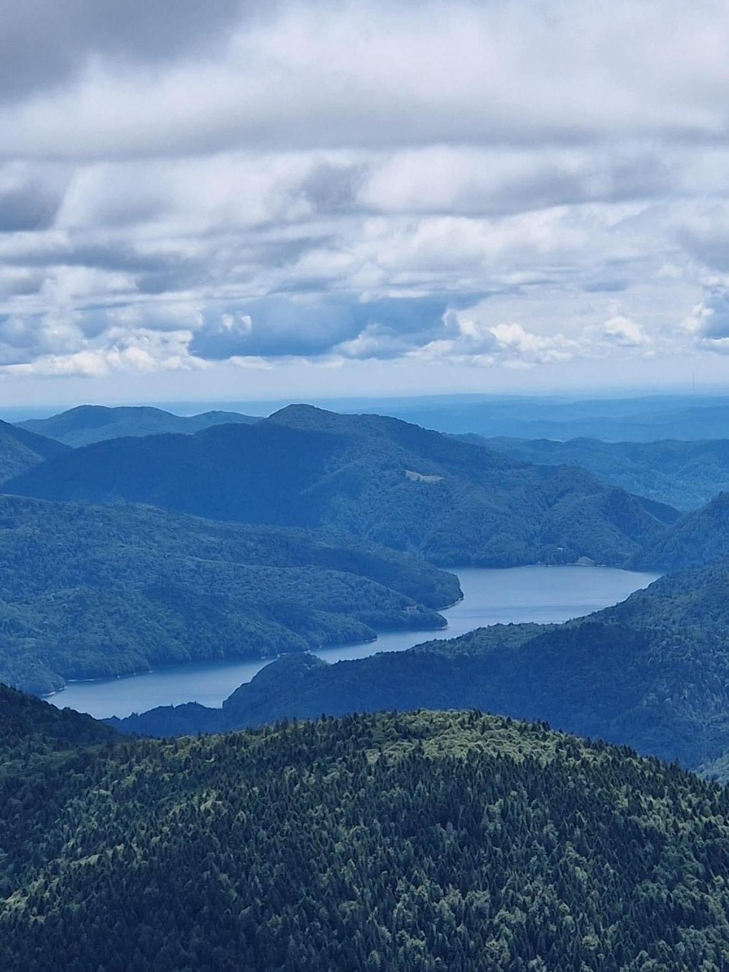 Casa Lupilor Transfagarasan Villa Căpăţîneni-Ungureni Kültér fotó