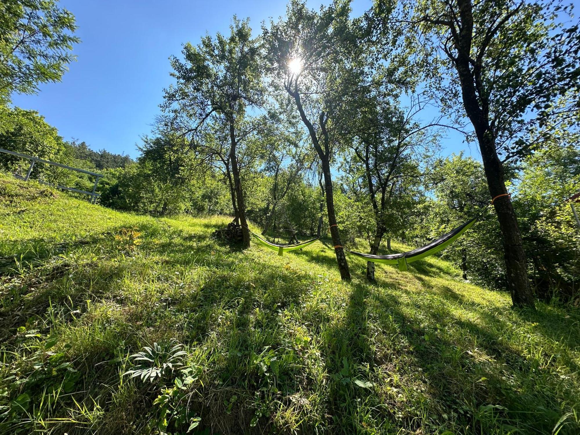 Casa Lupilor Transfagarasan Villa Căpăţîneni-Ungureni Kültér fotó